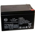Battery Clerk AJCEaton PATRIOT SP1 600 6V 12Ah UPS Battery EATON-PATRIOT SP1 600